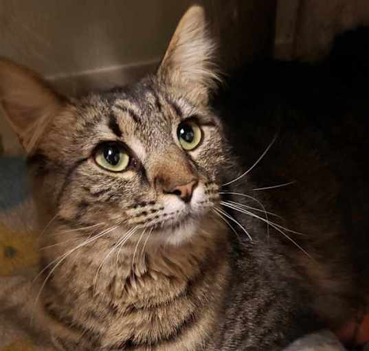 Photo of Muriel
