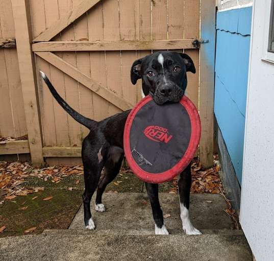 Photo of Sophie