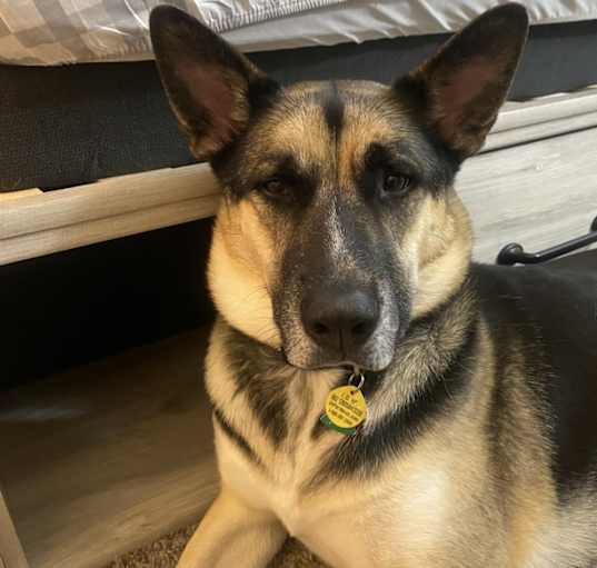 Photo of hiro