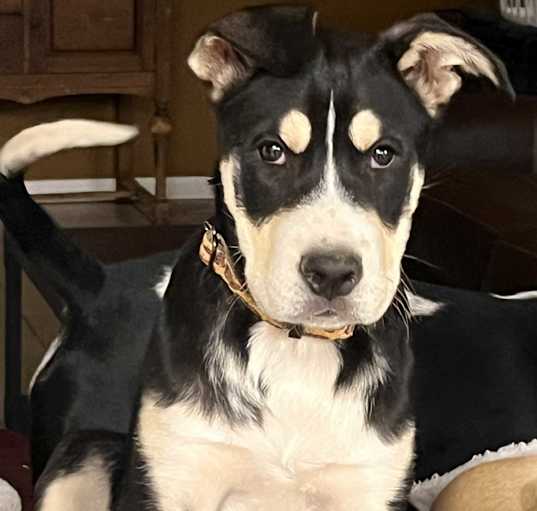 Photo of Peyton