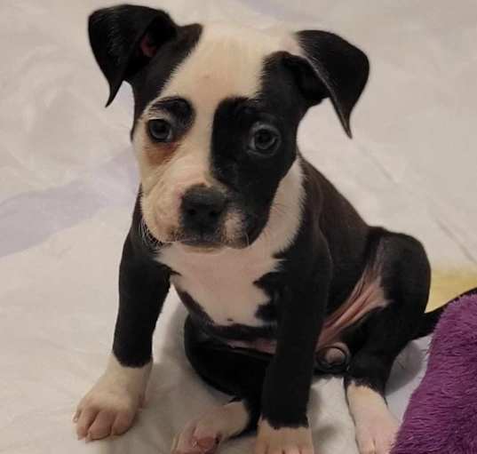 Photo of Ruby Sue