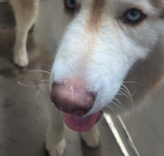 Photo of Spirit