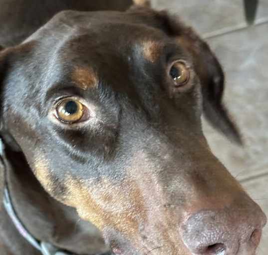 Photo of Kiara