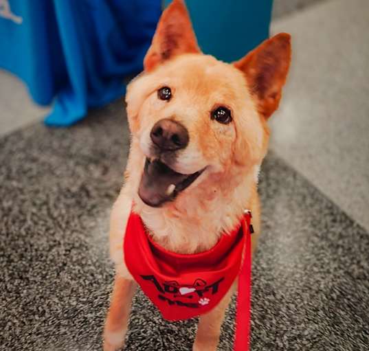 Photo of Truffle