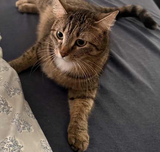 Photo of Penelope