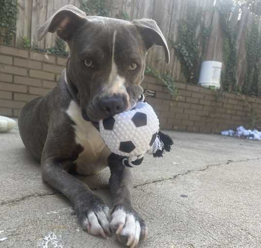 Photo of Diamond