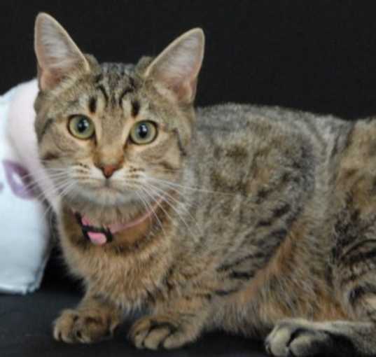 Photo of Luella