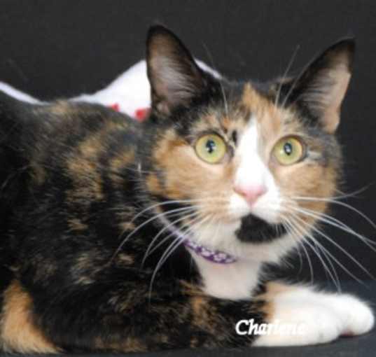 Photo of Tallulah