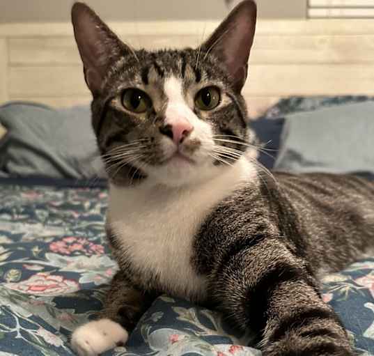 Photo of Oliver