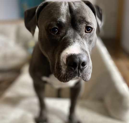 Photo of Tank