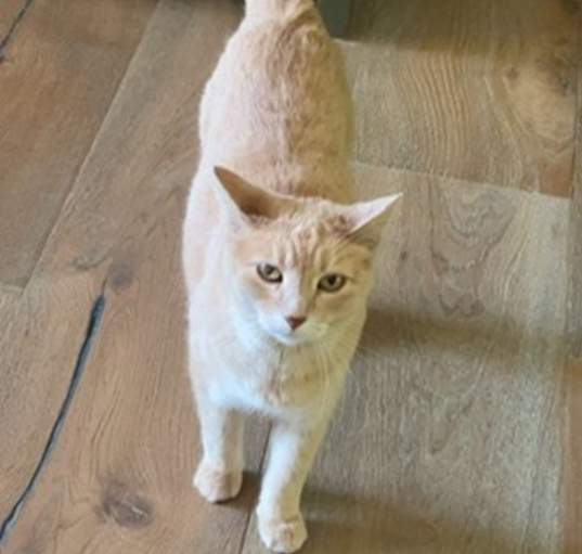 Photo of George