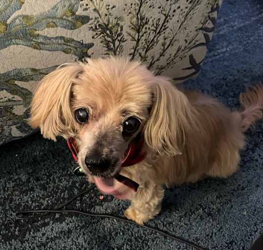 Photo of Trix