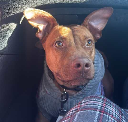 Photo of Astro