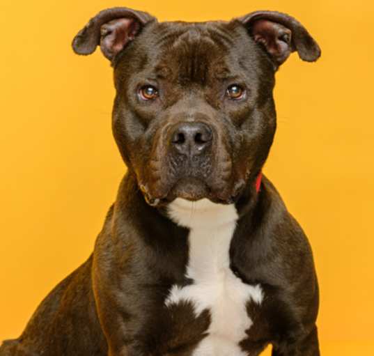 Photo of Chanse