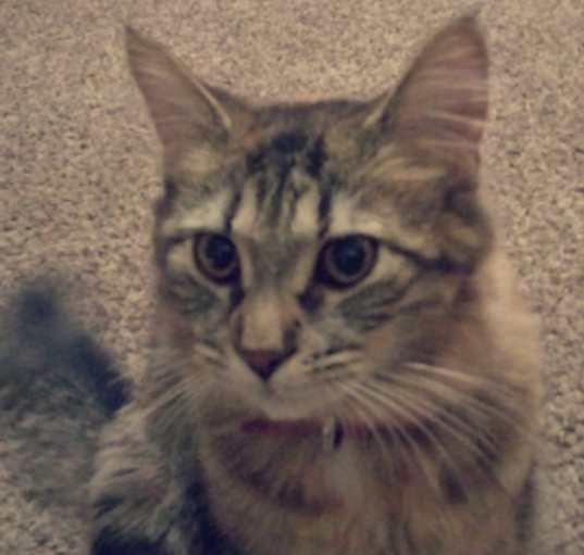 Photo of Mavis