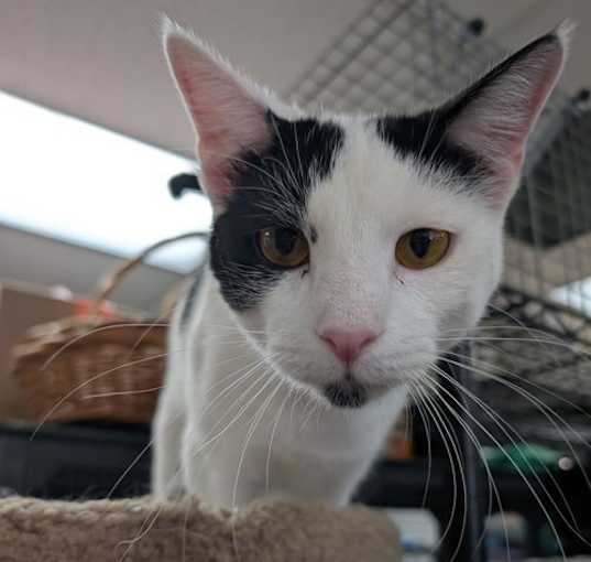Photo of Buster