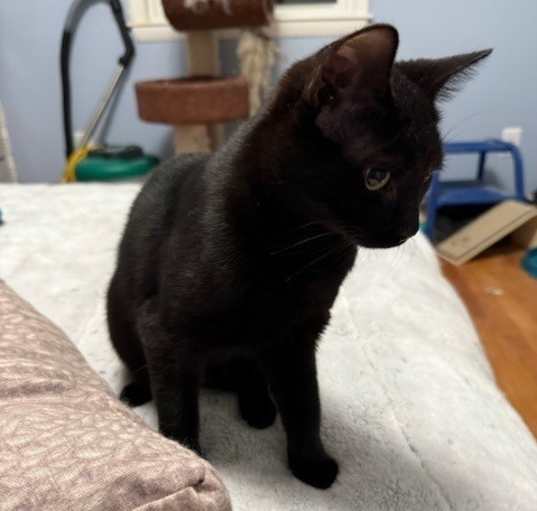 Photo of Tabitha