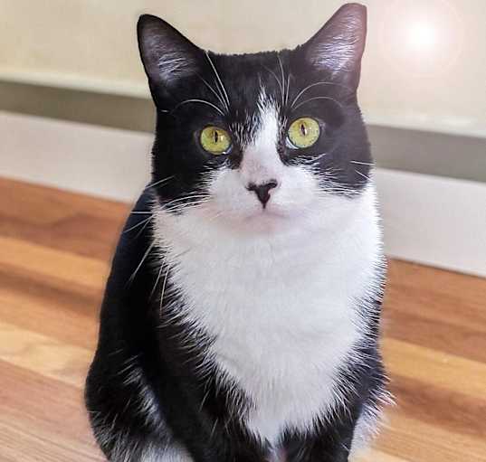 Photo of Libby