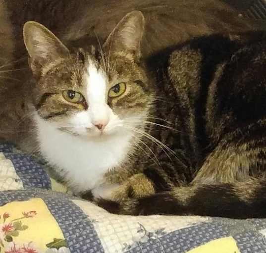 Photo of Mork