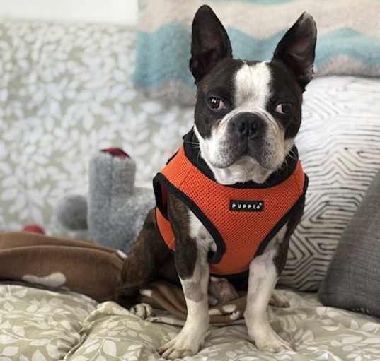 Photo of Kiki