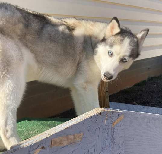 Photo of Ghost
