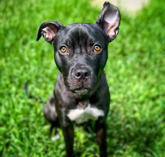 Photo of Betsy