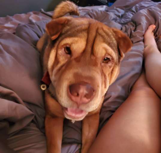 Photo of Chucho