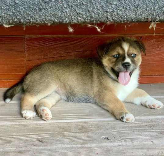 Photo of Sora