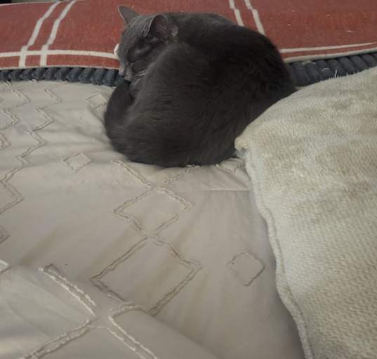 Photo of Zoe