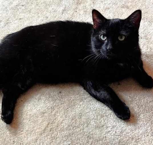 Photo of Lenny