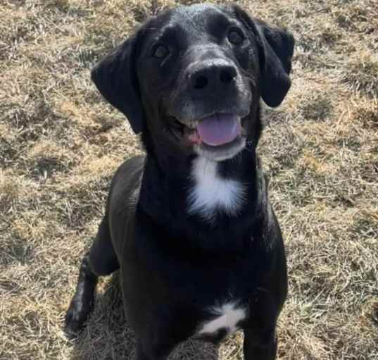 Photo of RYDER