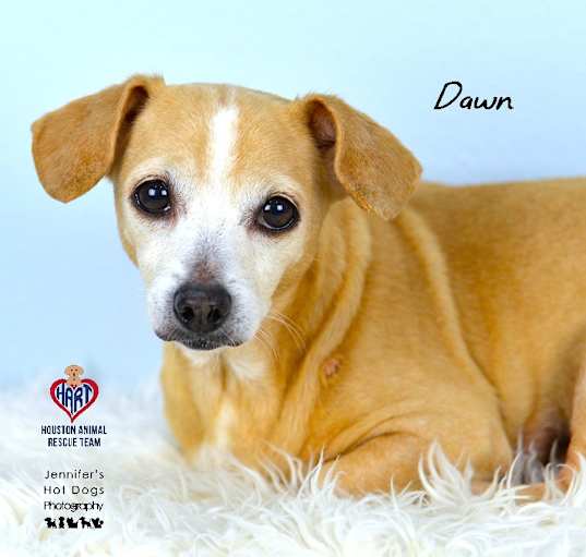Photo of Dawn