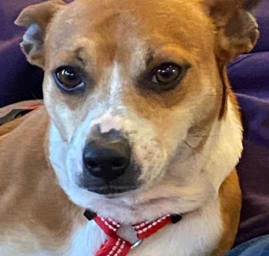 Photo of Oscar