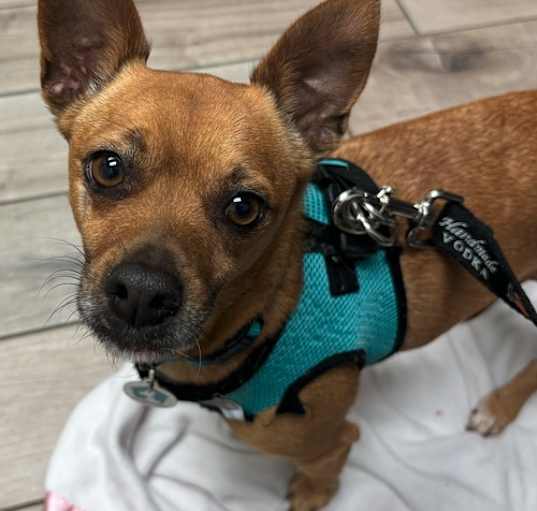 Photo of Nikky