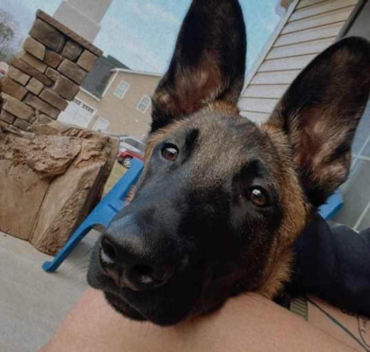 Photo of Odin