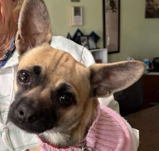 Photo of Dakota