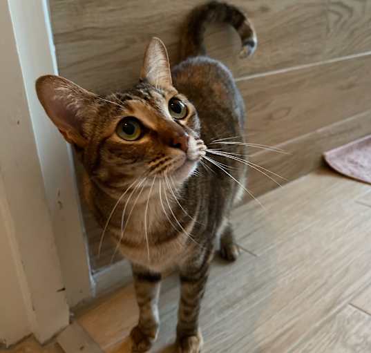 Photo of Tiggy