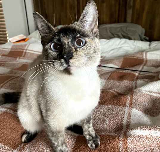Photo of Penelope