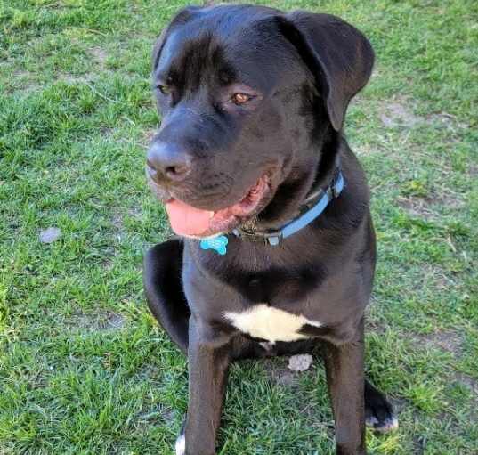 Photo of Freeway