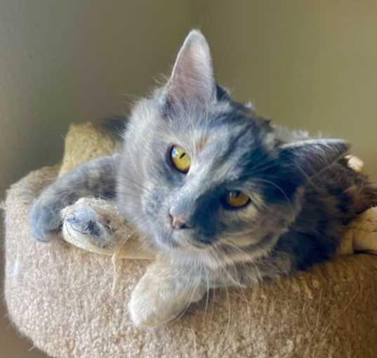 Photo of Molly