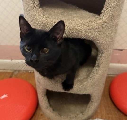 Photo of Tilly