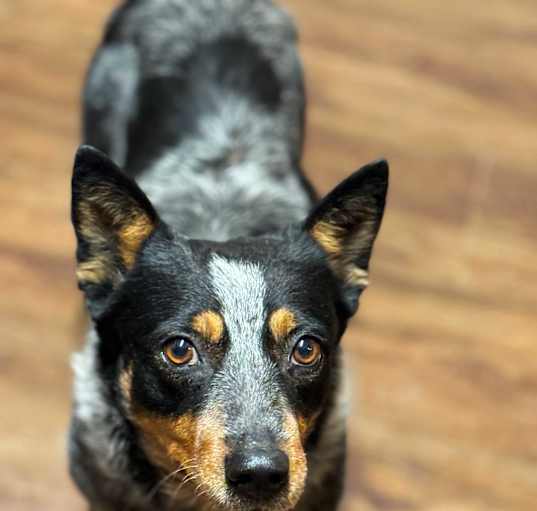 Photo of Milly