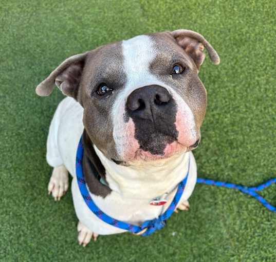 Photo of Gabe A2174057