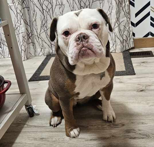 Photo of Jada