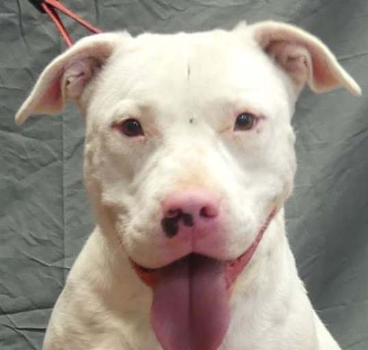 Photo of ASPEN