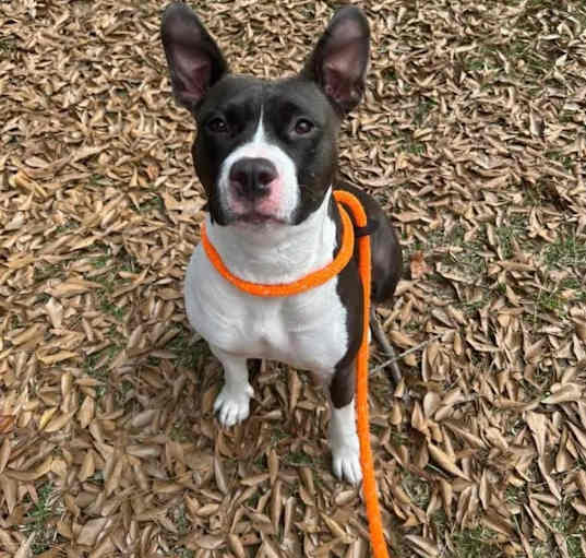 Photo of COCO