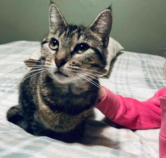 Photo of Ramona