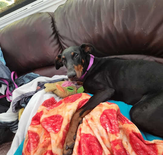 Photo of Athena