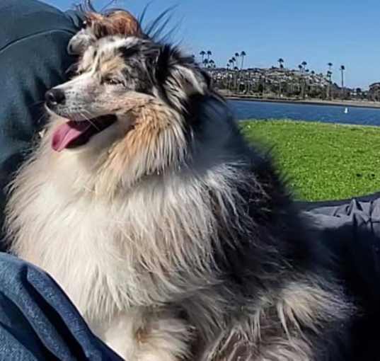 Photo of Xena