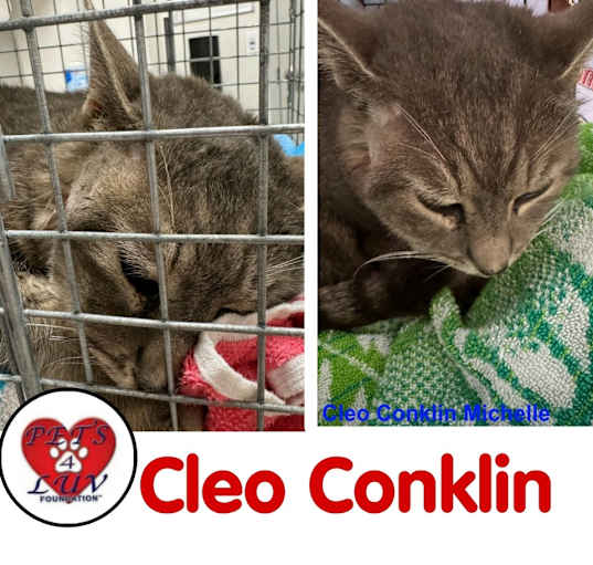 Photo of Cleo Conklin